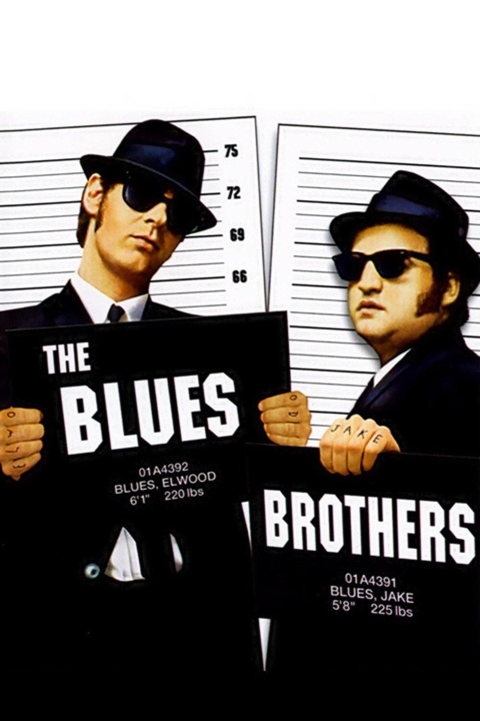 Movie Cover